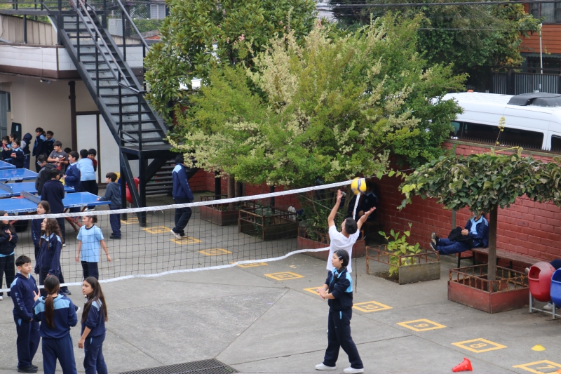 Día de la Actividad Física